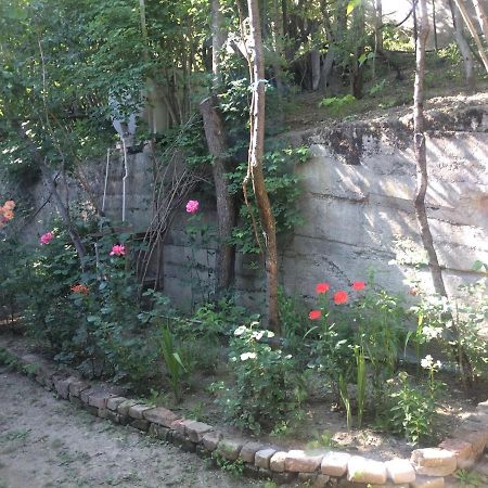 Guesthouse Malkhazi Borjomi Exterior photo