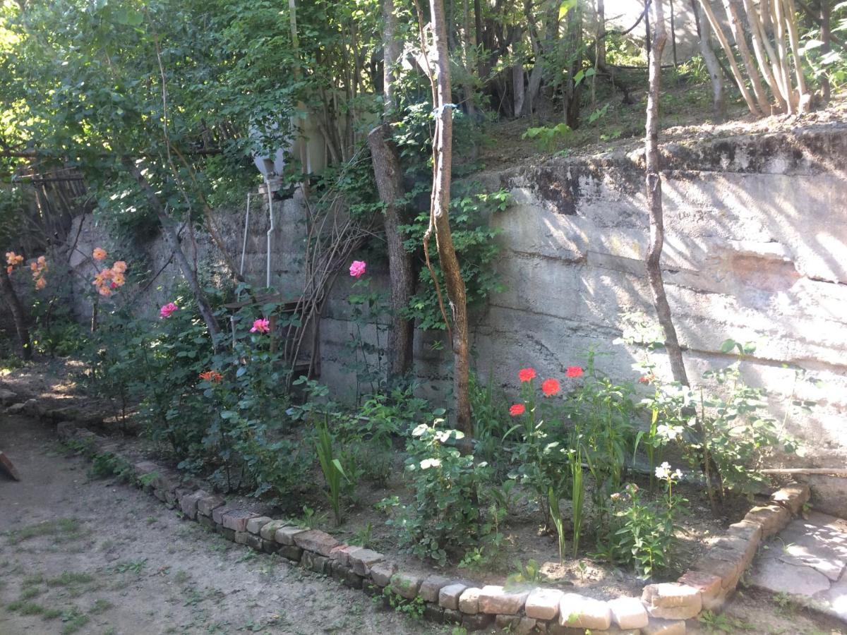Guesthouse Malkhazi Borjomi Exterior photo