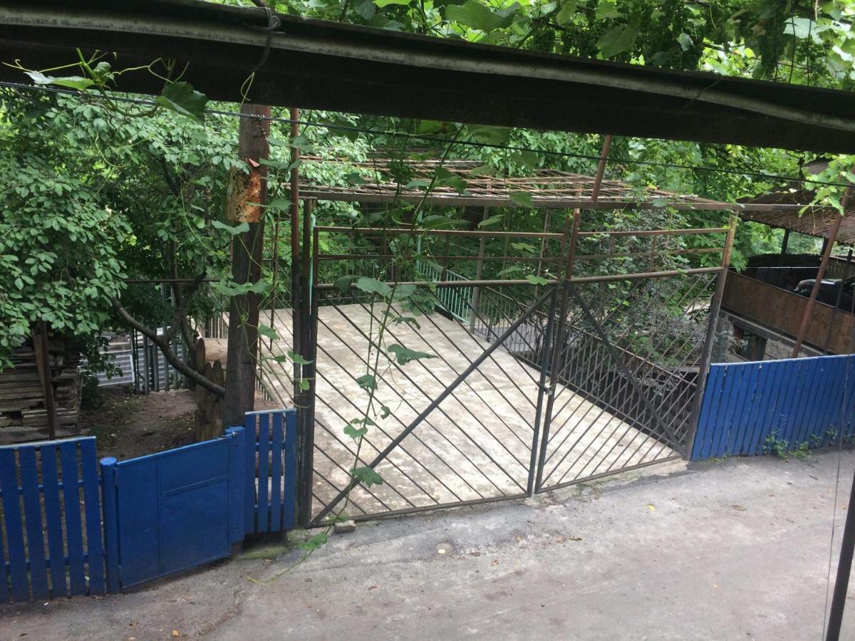 Guesthouse Malkhazi Borjomi Exterior photo